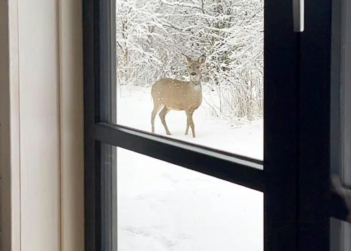 Traditional Summer House Near Дом отдыха *